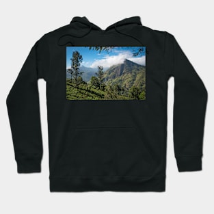 The Valley of Ella Hoodie